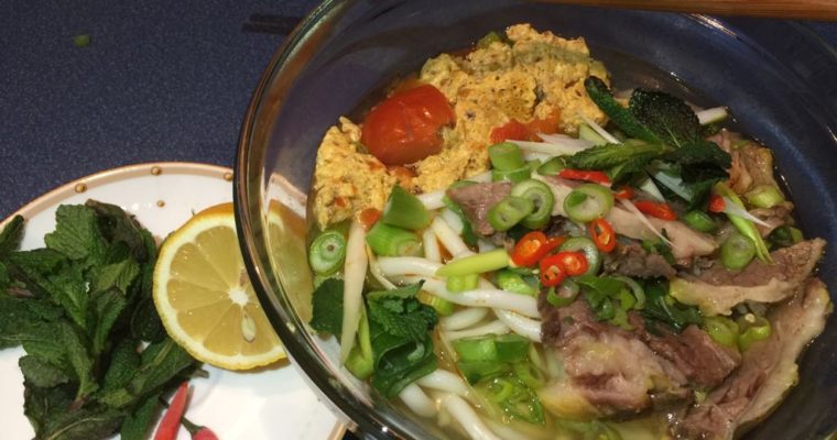 Udon Nudeln
